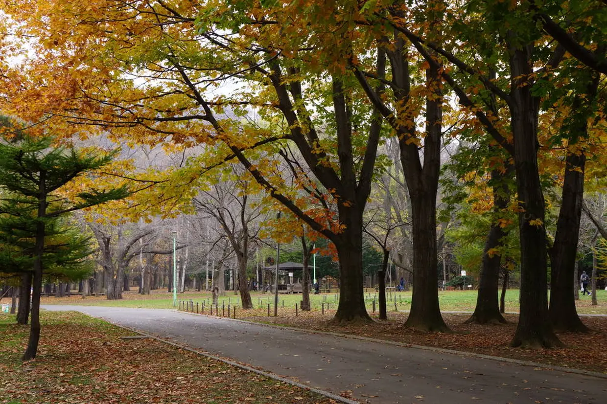 円山公園