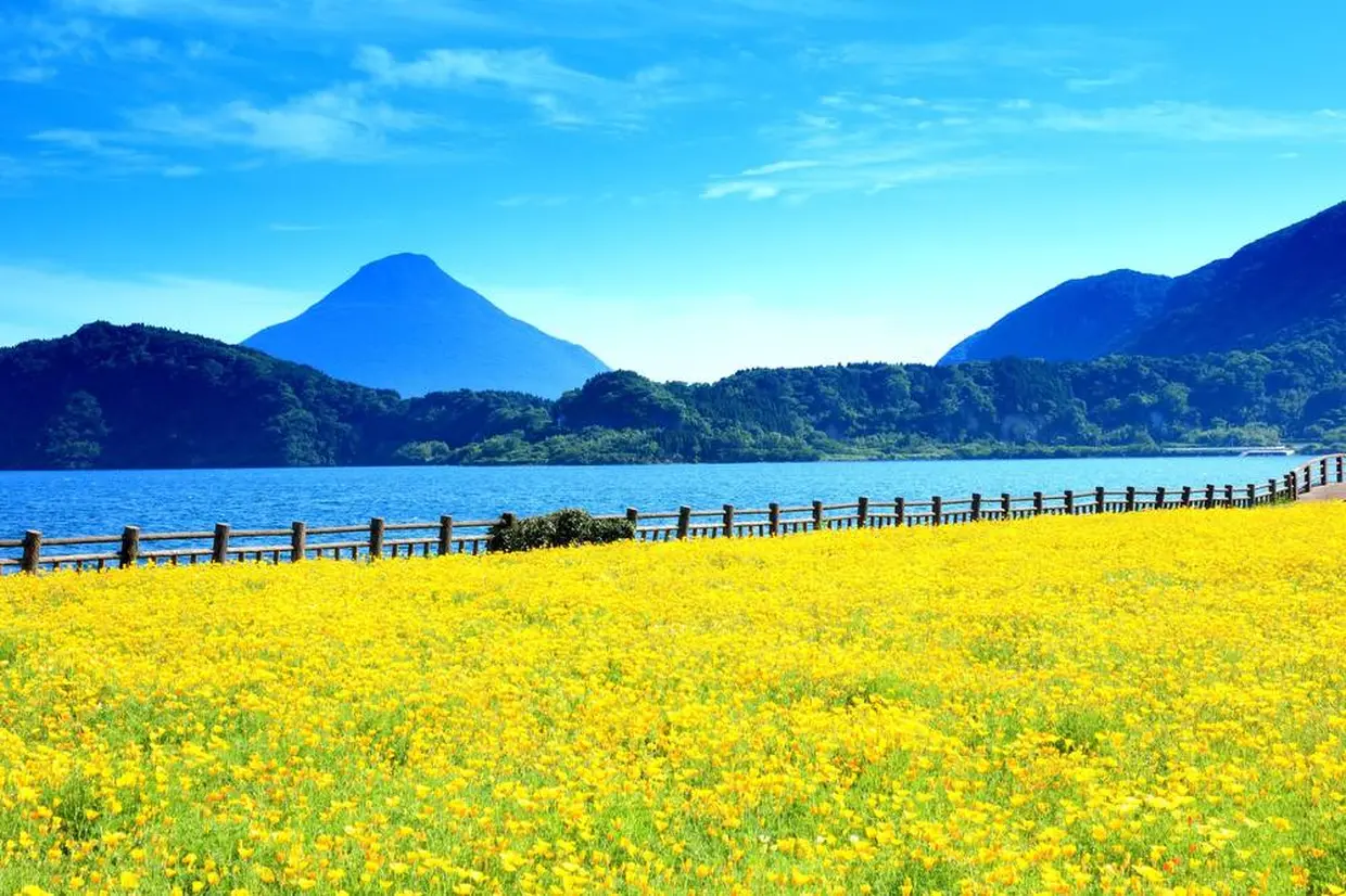 池田湖と菜の花畑