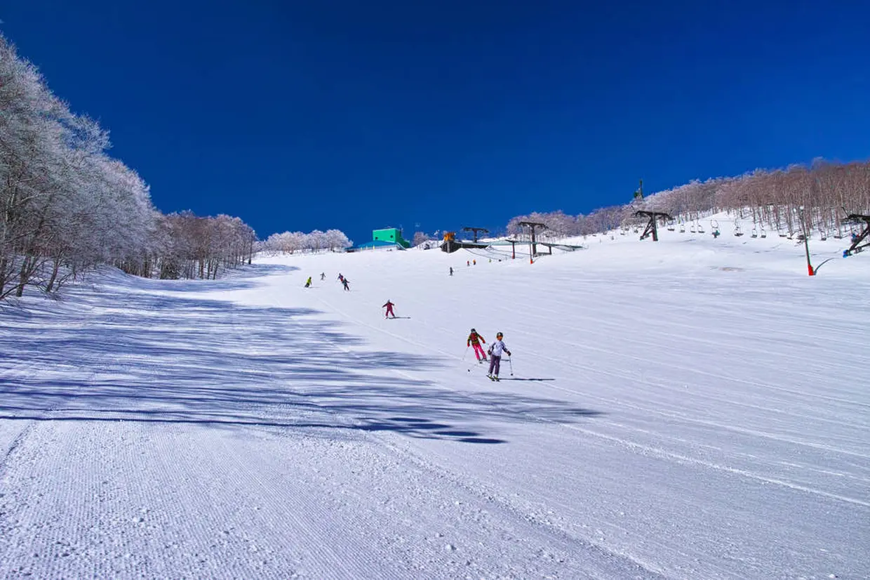 雪景色 イメージ