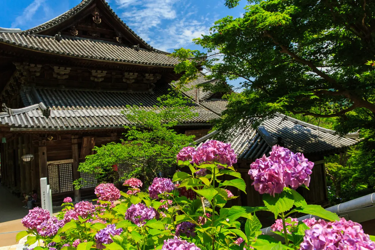 長谷寺