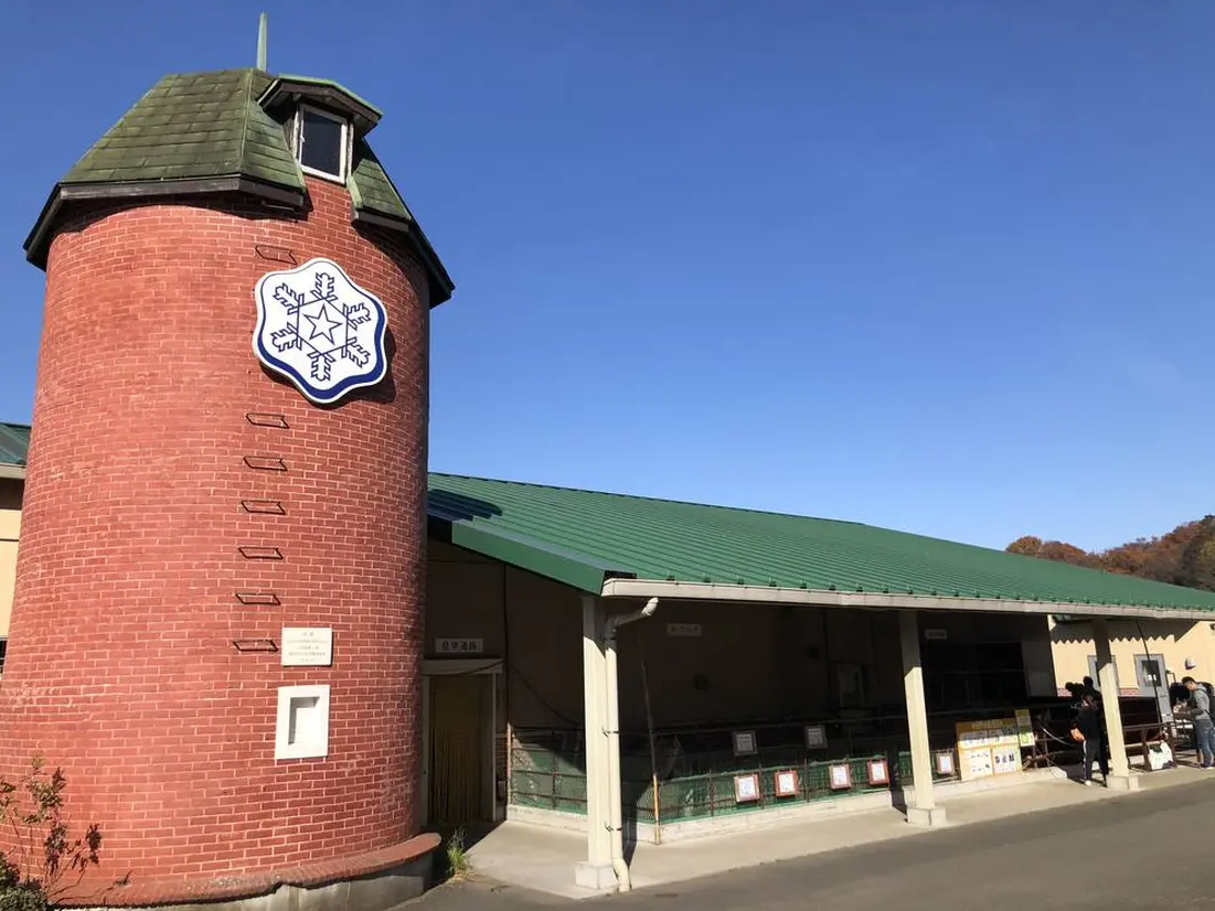 雪印こどもの国牧場