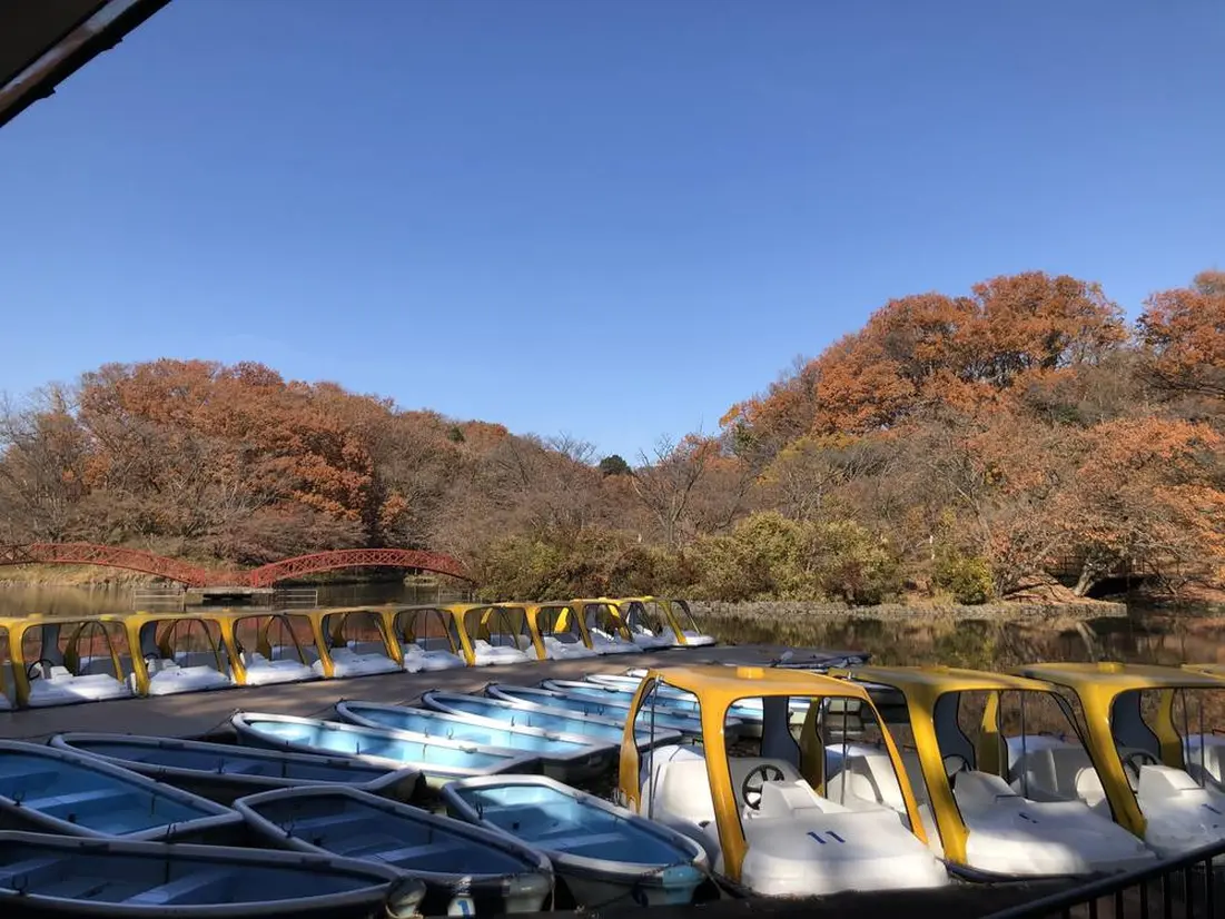 白鳥湖　紅葉