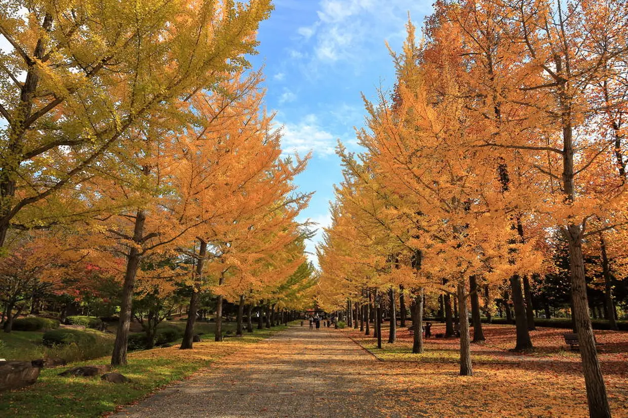 山形県総合運動公園