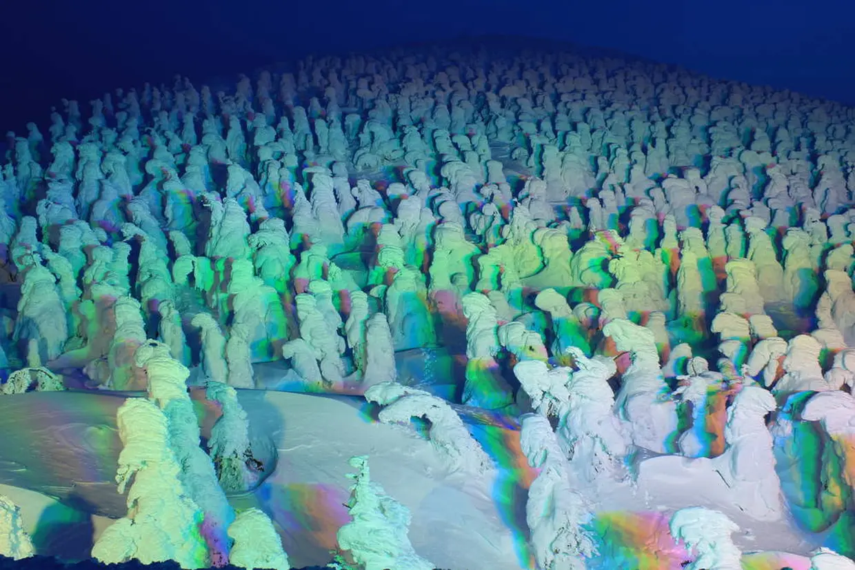 樹氷のライトアップ