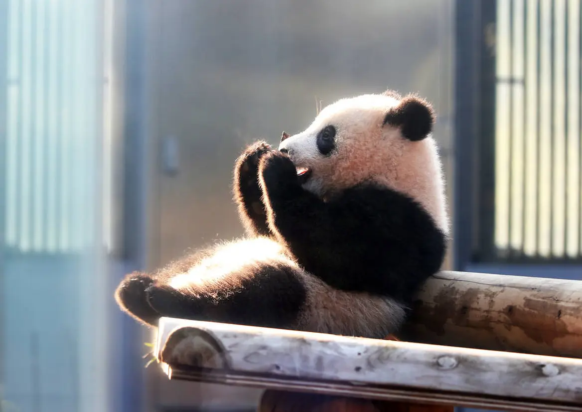 上野動物園