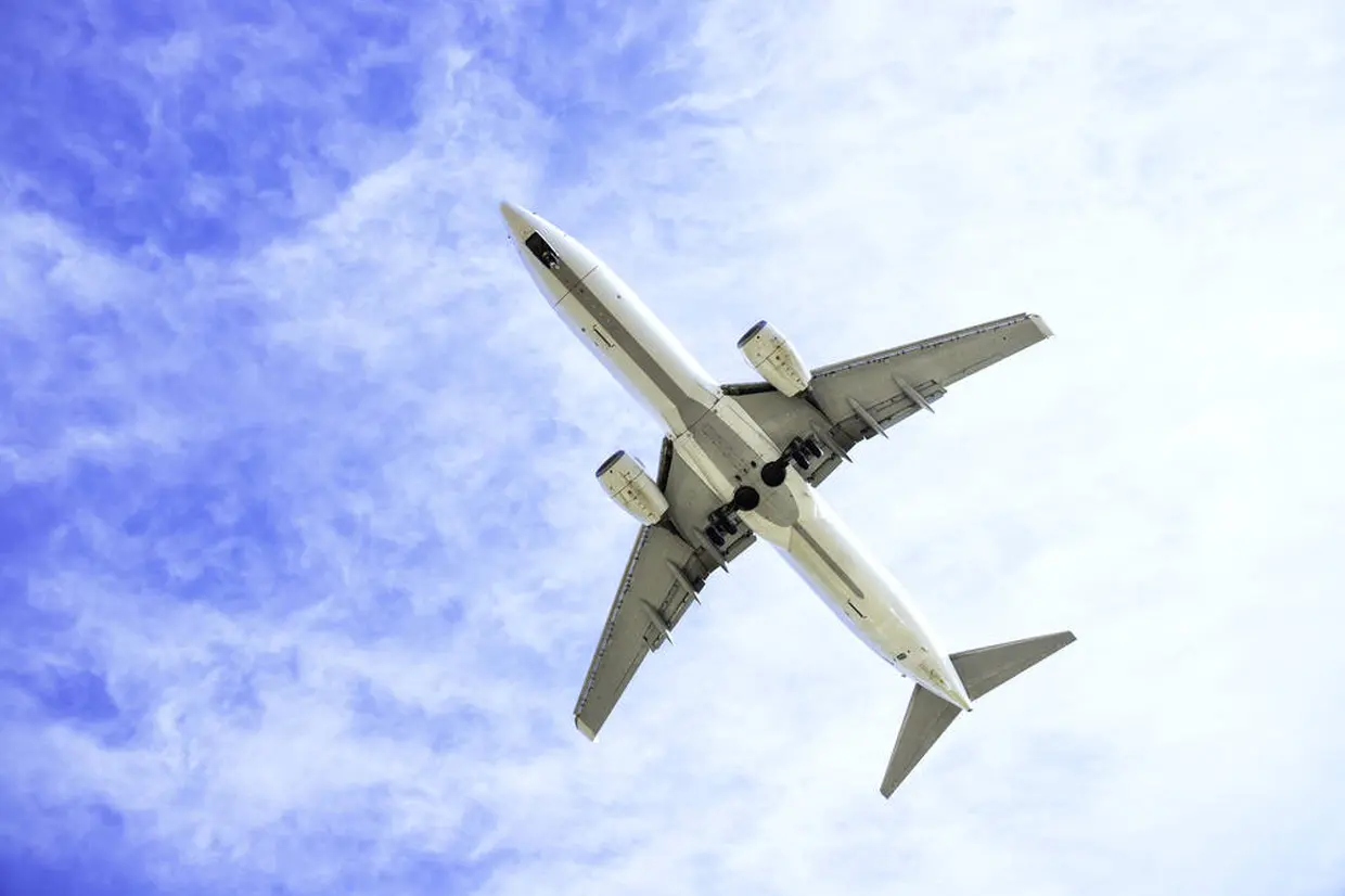 飛行機