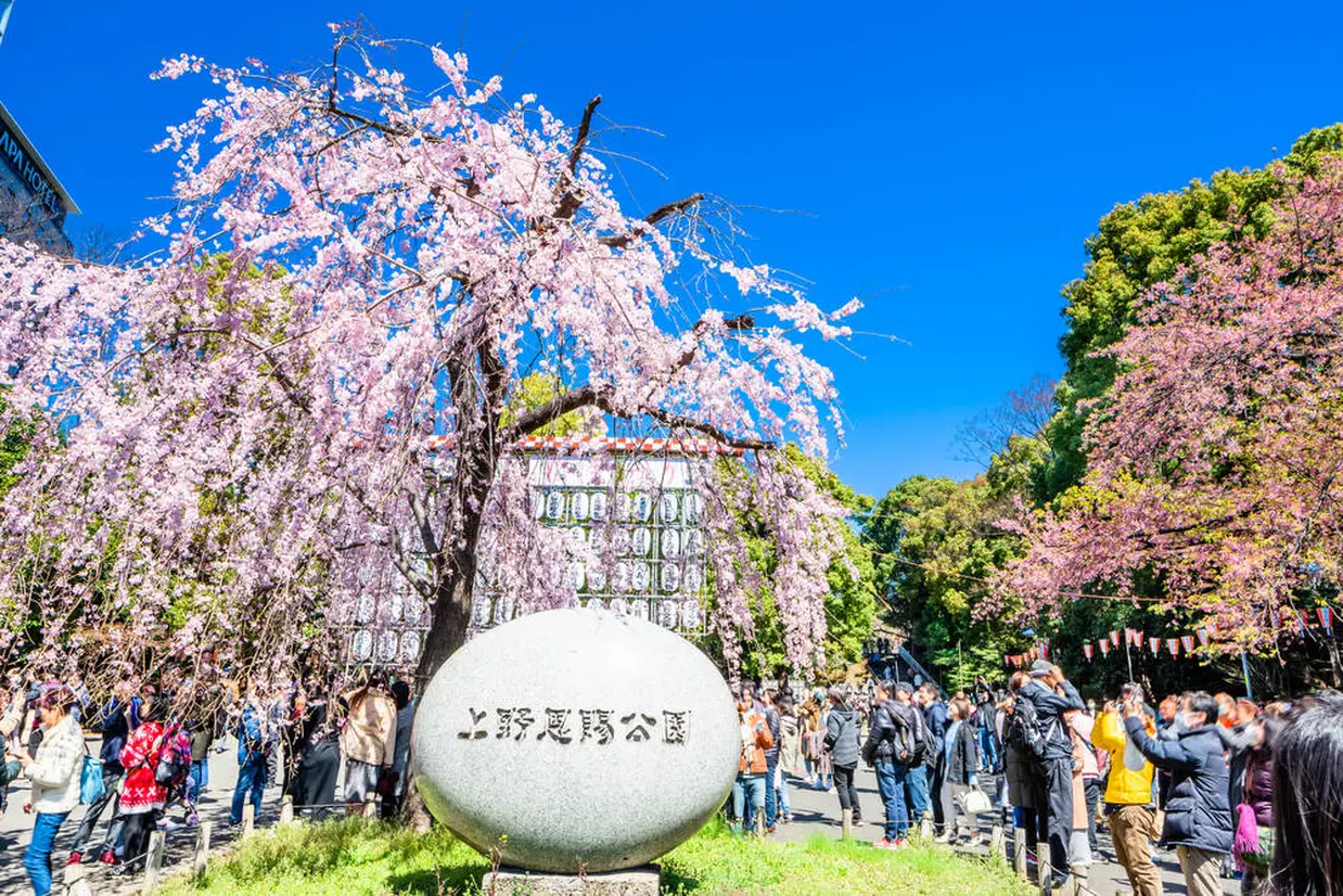 上野恩賜公園
