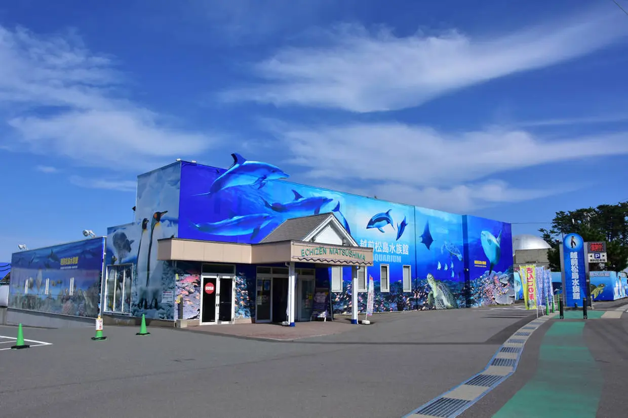 越前松島水族館