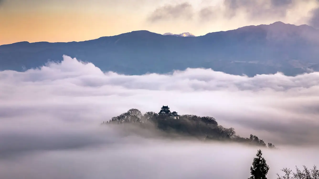 越前大野城