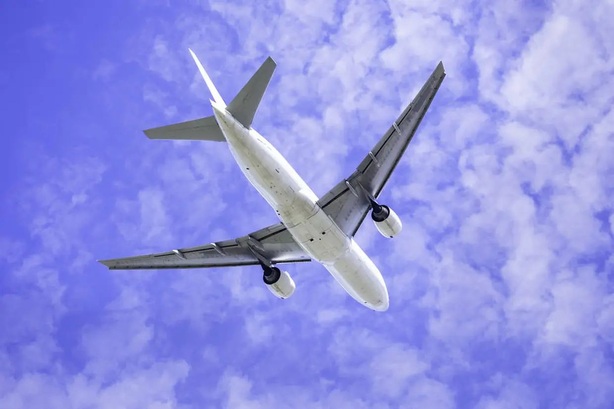 飛行機