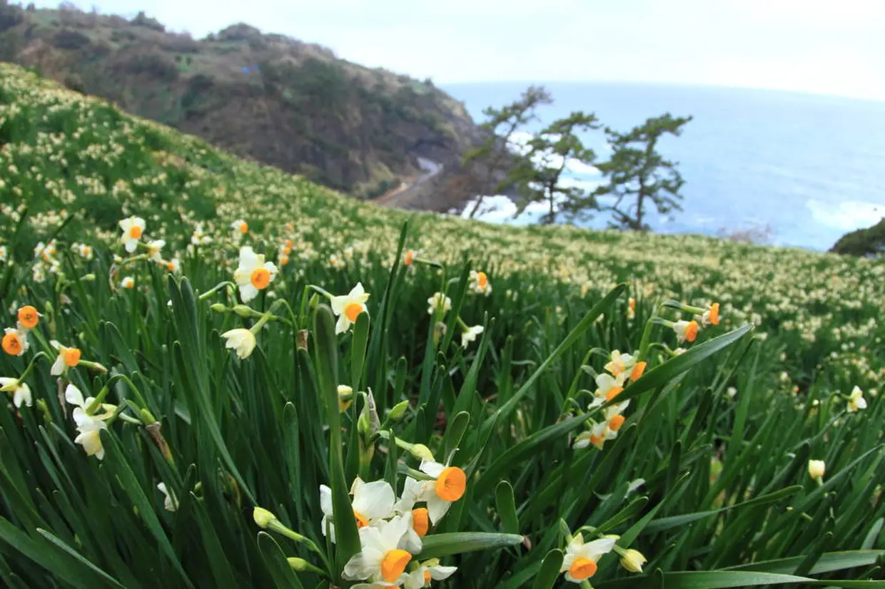 越前海岸