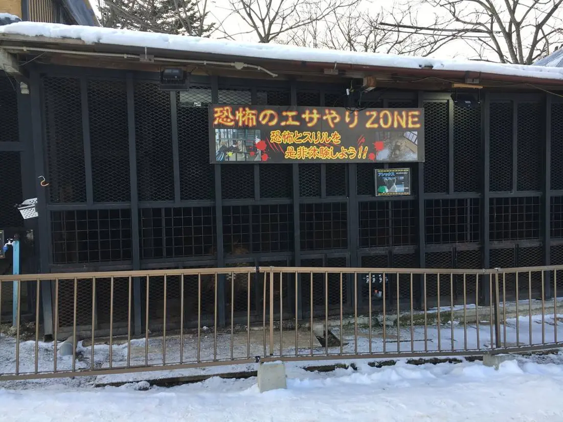 恐怖のエサやりゾーン