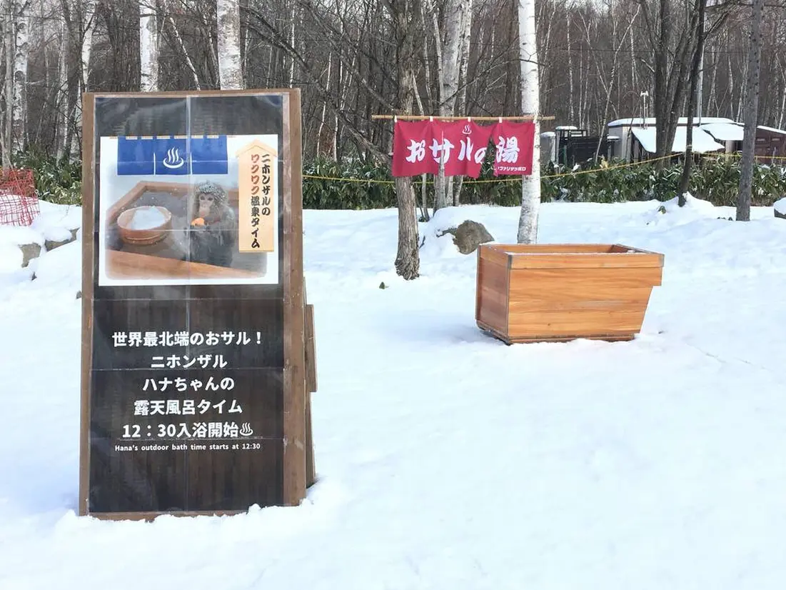 ニホンザル　イベント会場