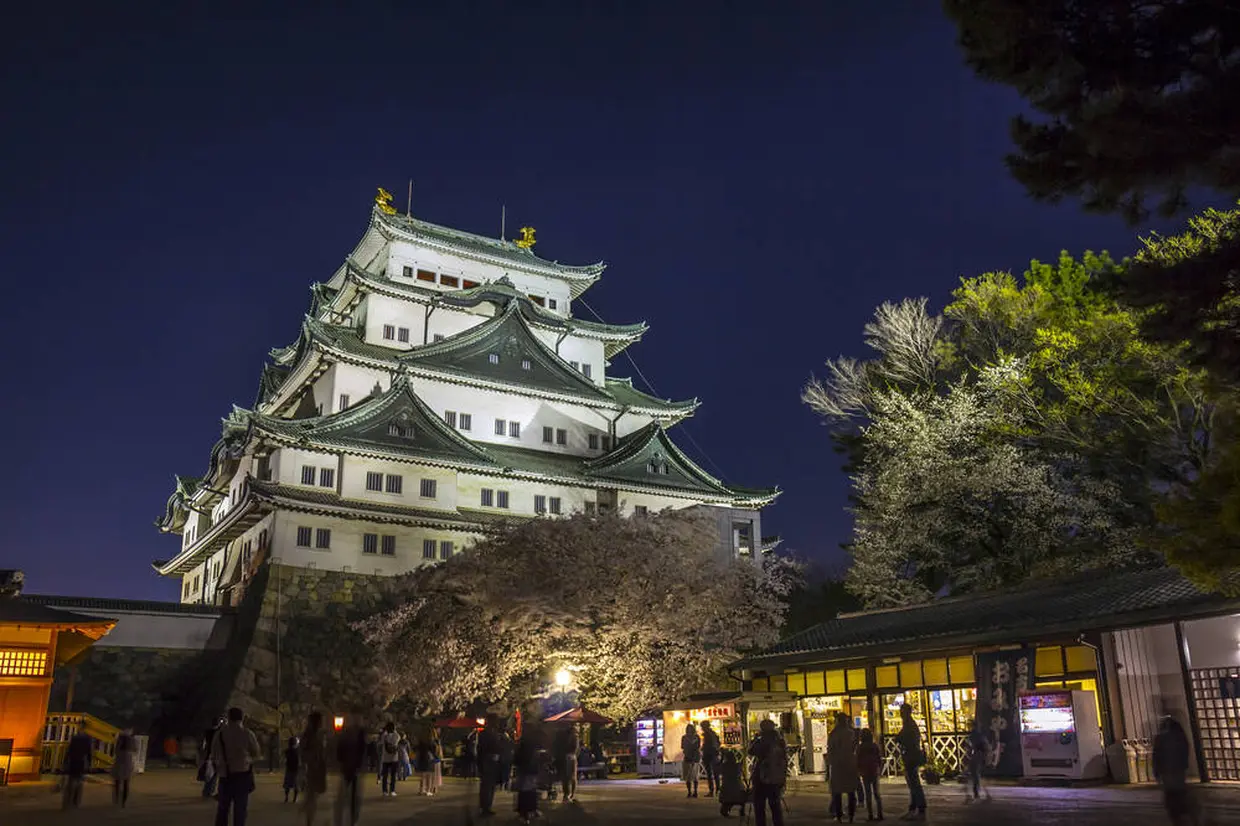 名古屋城　ライトアップ