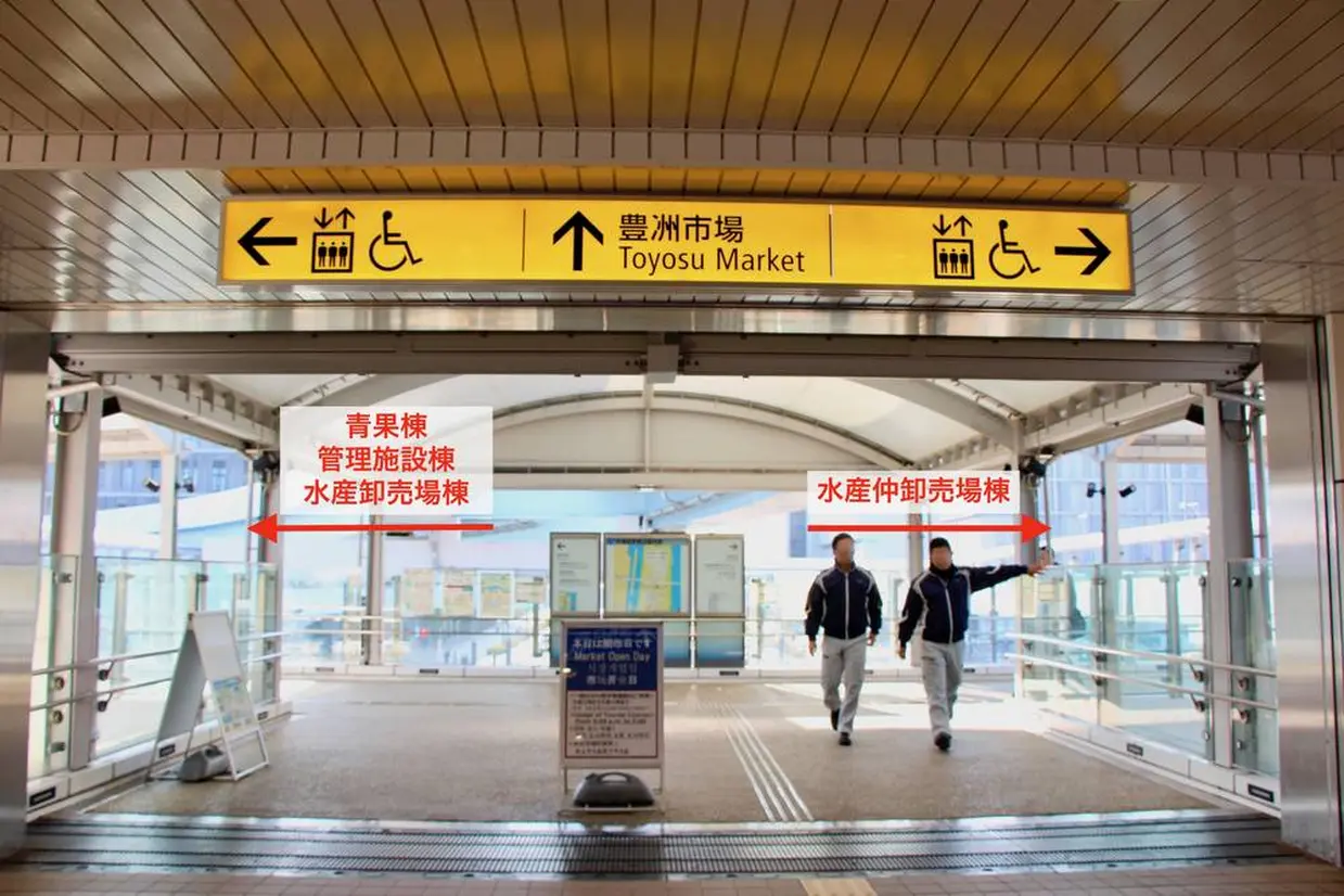 豊洲市場へ向かうデッキ