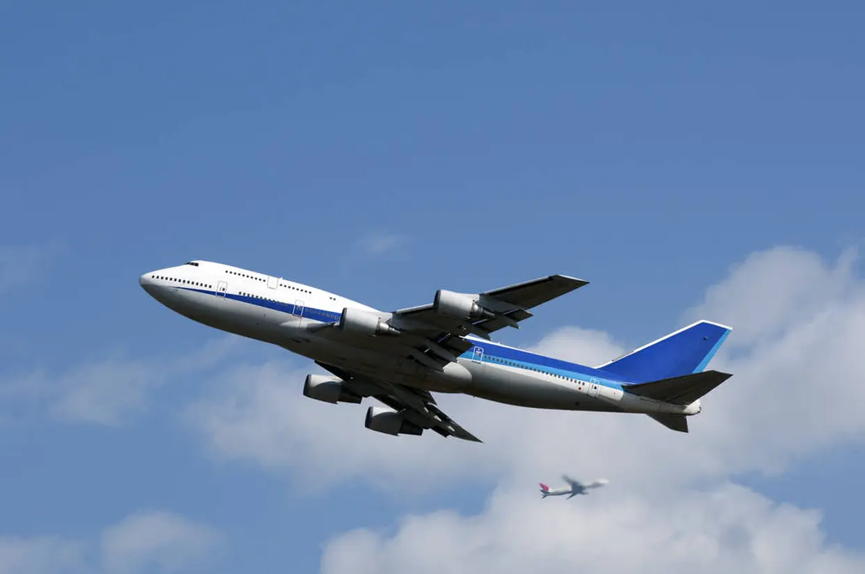飛行機
