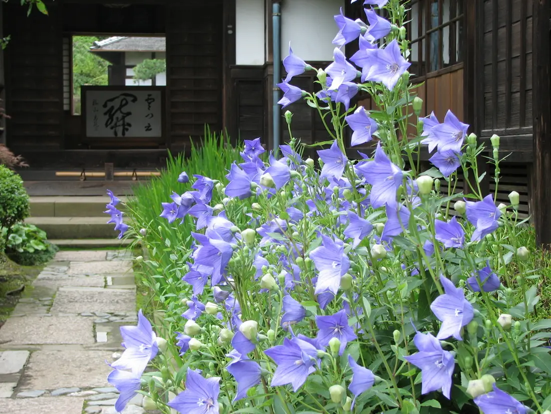 海蔵寺