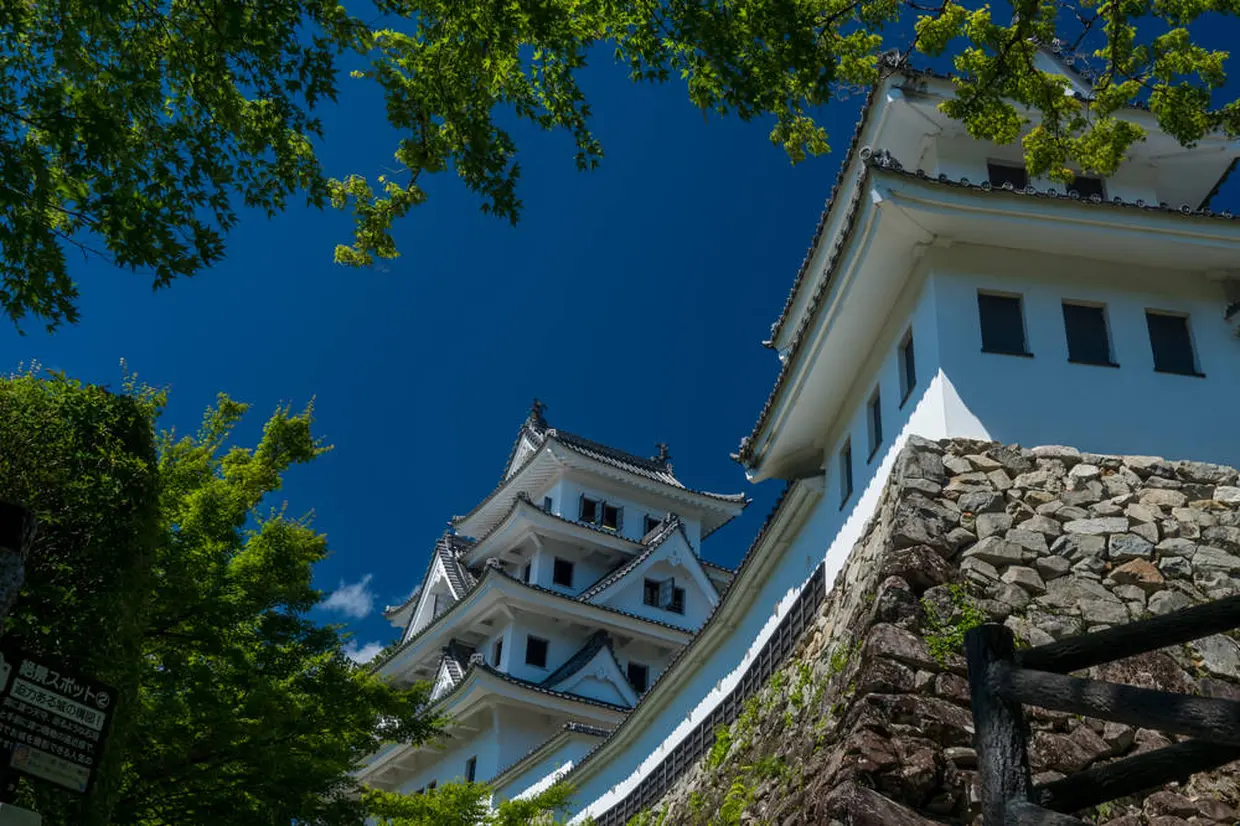 郡上八幡城