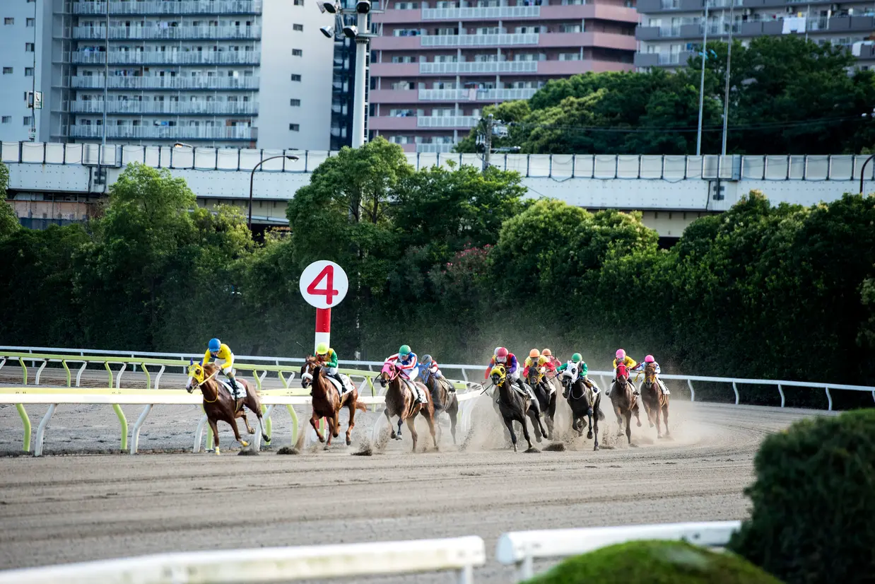 馬乗4コーナー