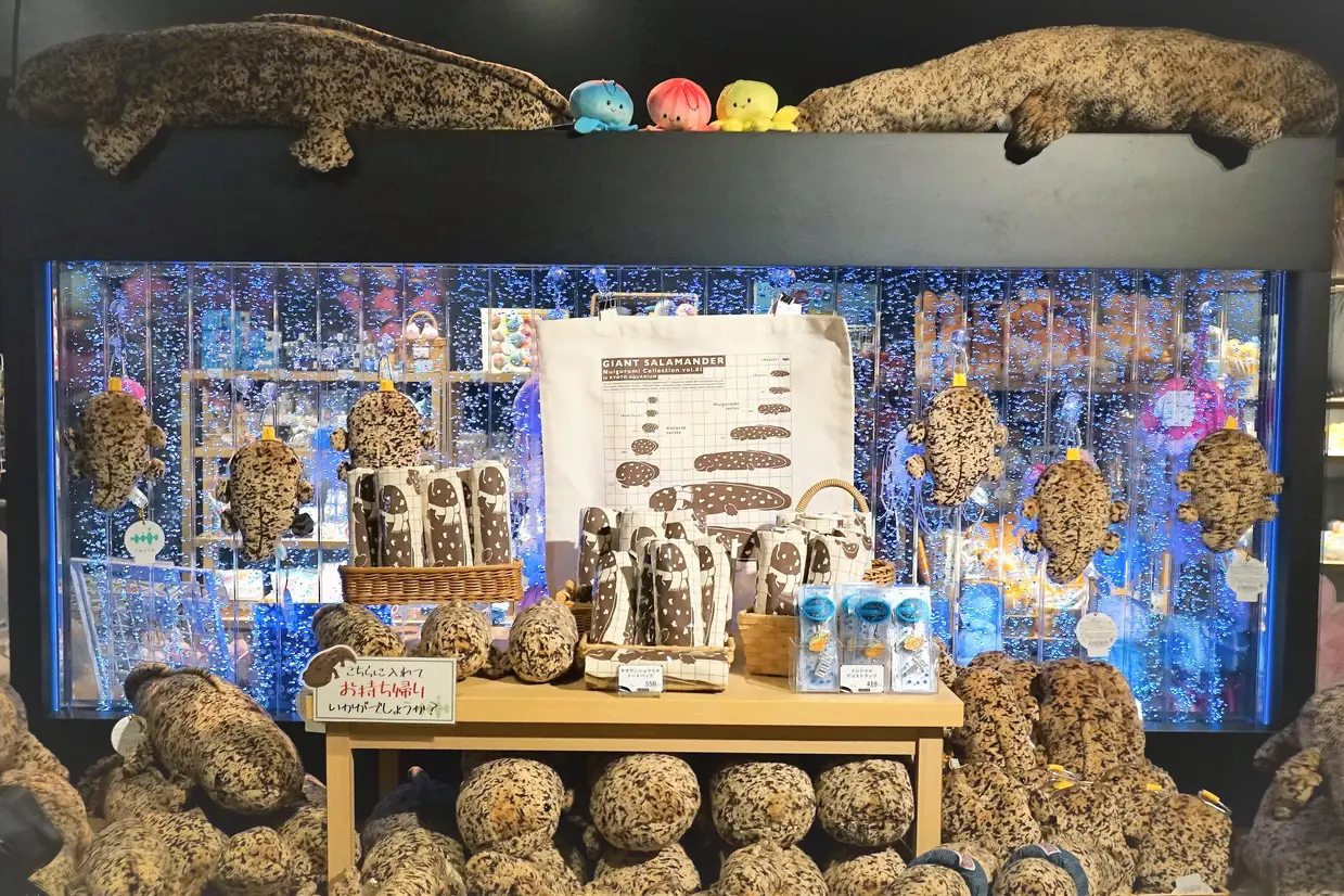2F交流プラザ内の売店でオオサンショウウオのぬいぐるみ