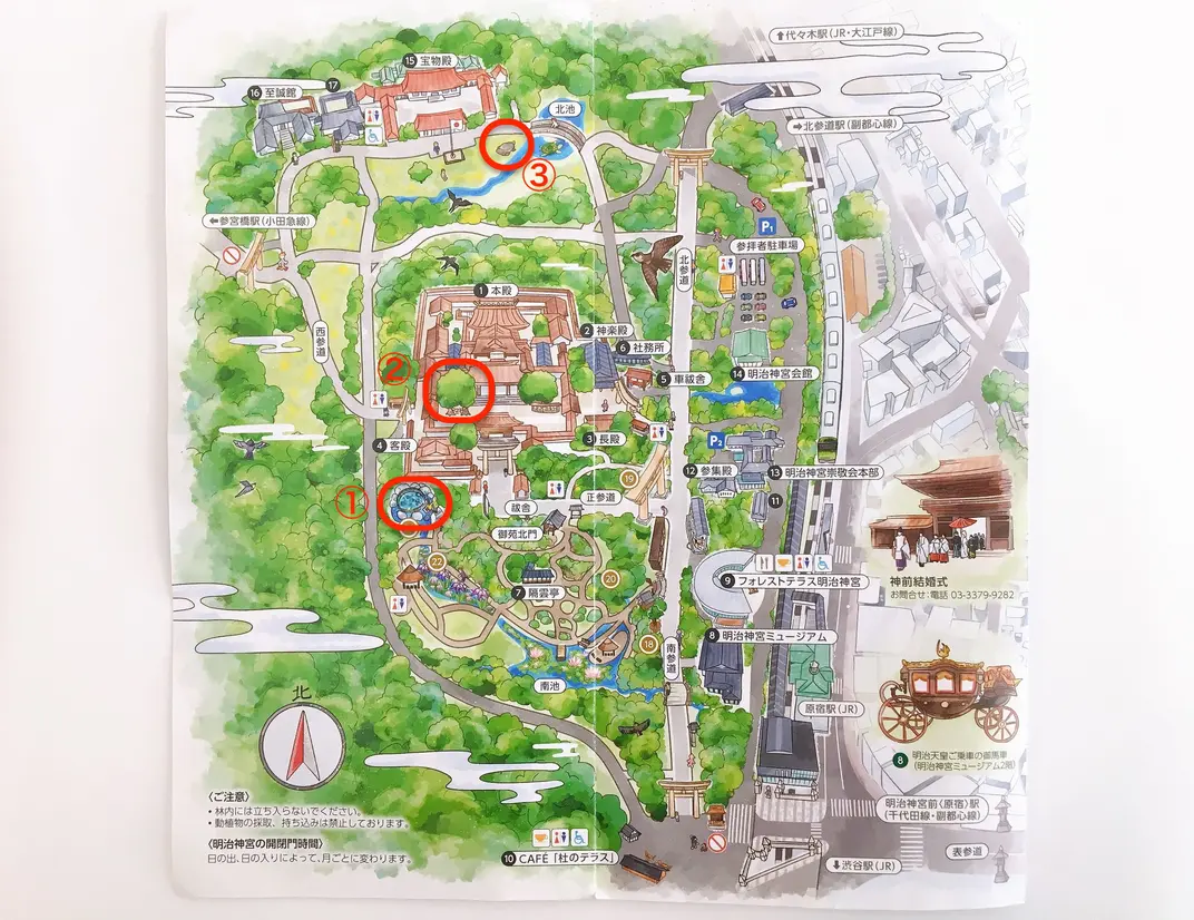 明治神宮地図（1）清正井（2）夫婦楠（3）亀石