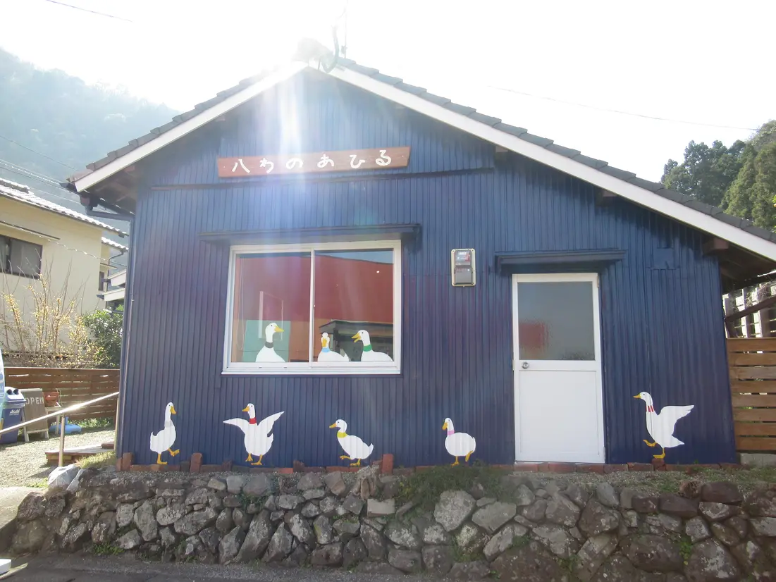 AHIRU CAFE 八わのあひる