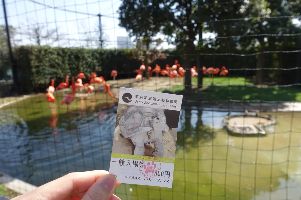 入園チケット