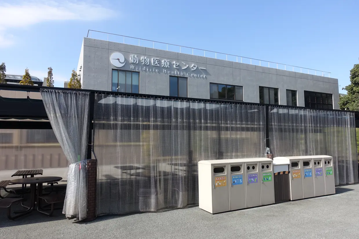 藤棚休憩所とその周辺