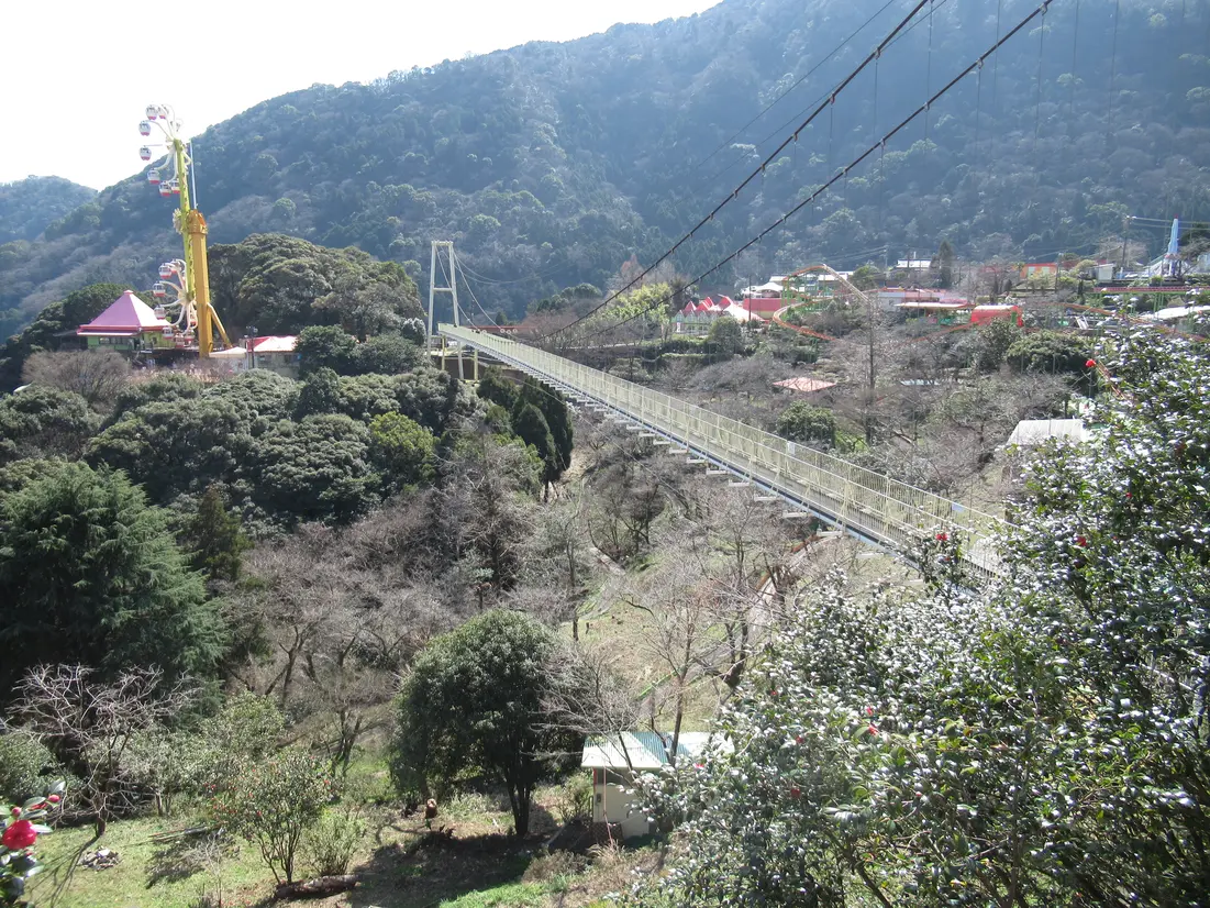 大吊り橋