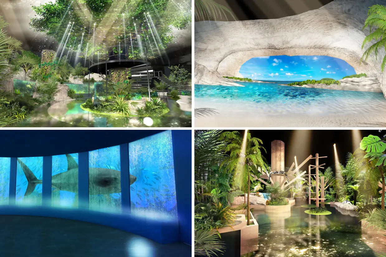 DMMかりゆし水族館 イメージ