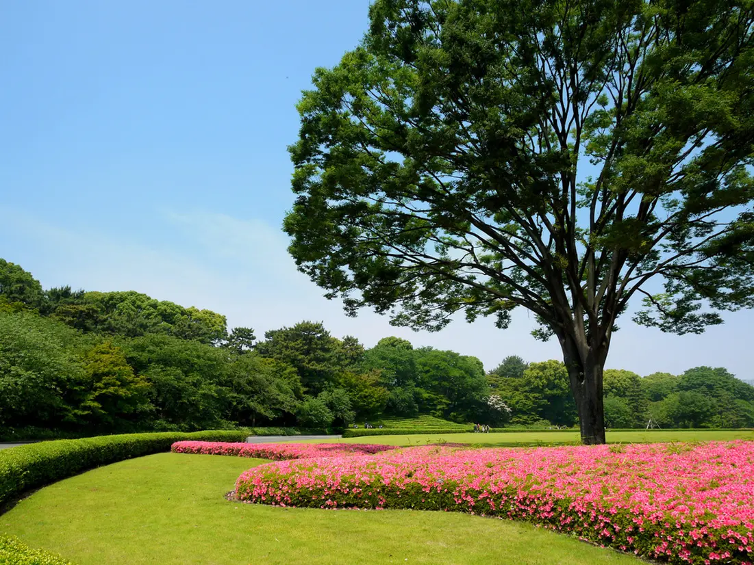 皇居東御苑