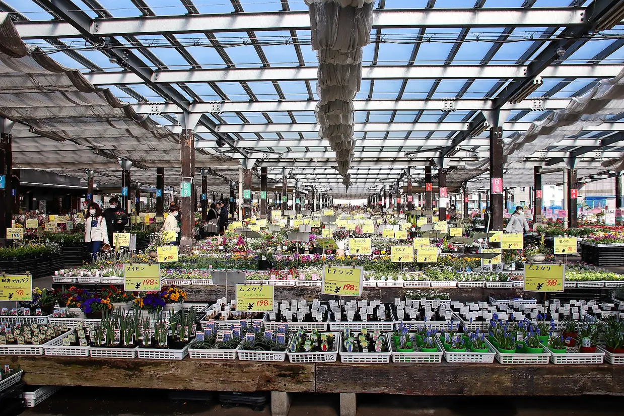 花市場 屋外の売り場