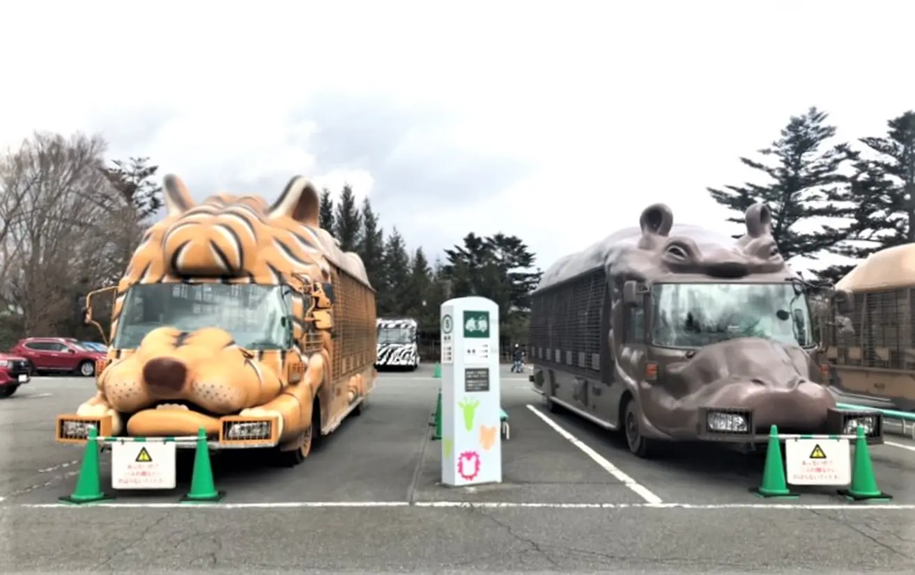 ジャングルバス乗り場