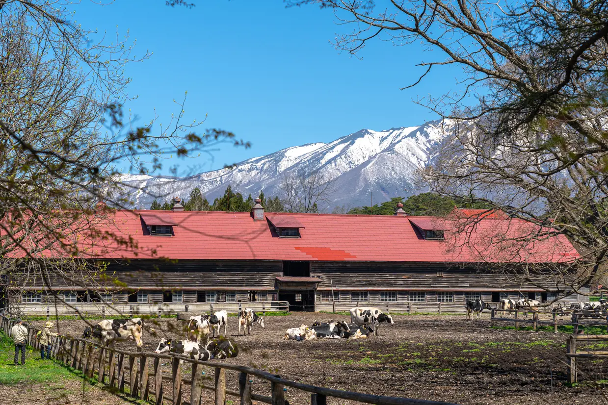 小岩井農場