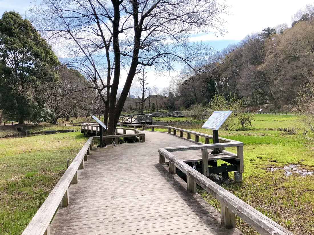 水生植物園