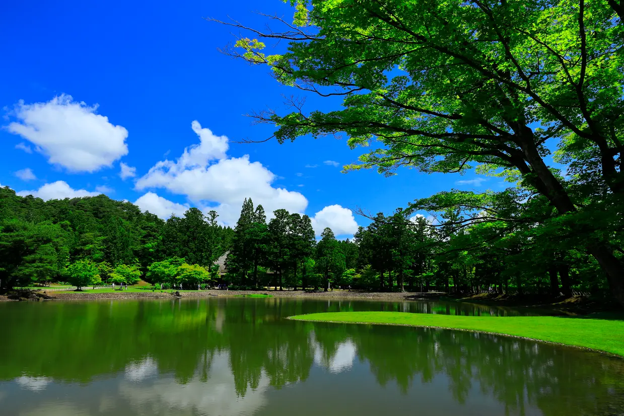 毛越寺