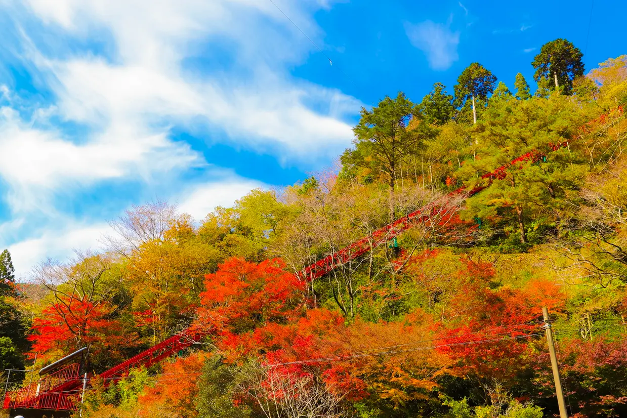 馬路村