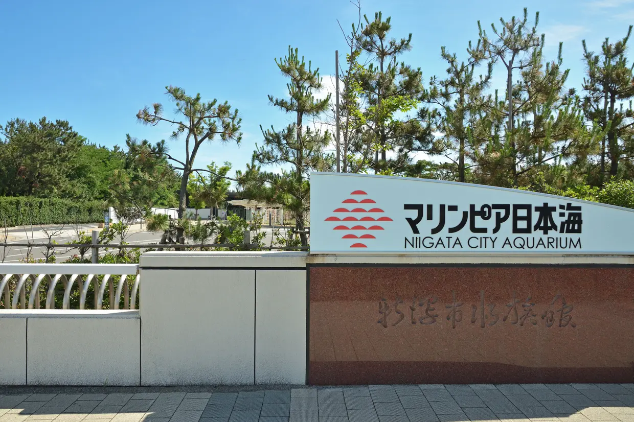 新潟市水族館マリンピア日本海