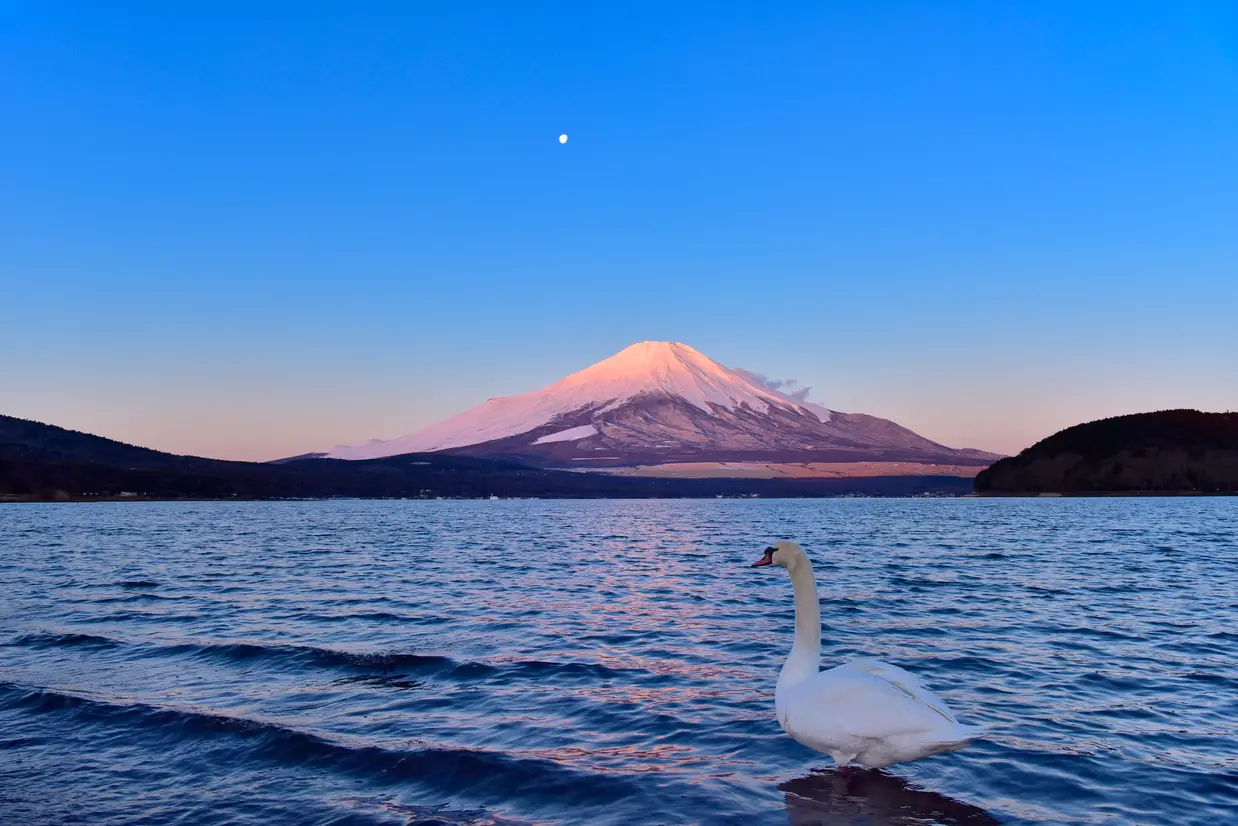 山中湖
