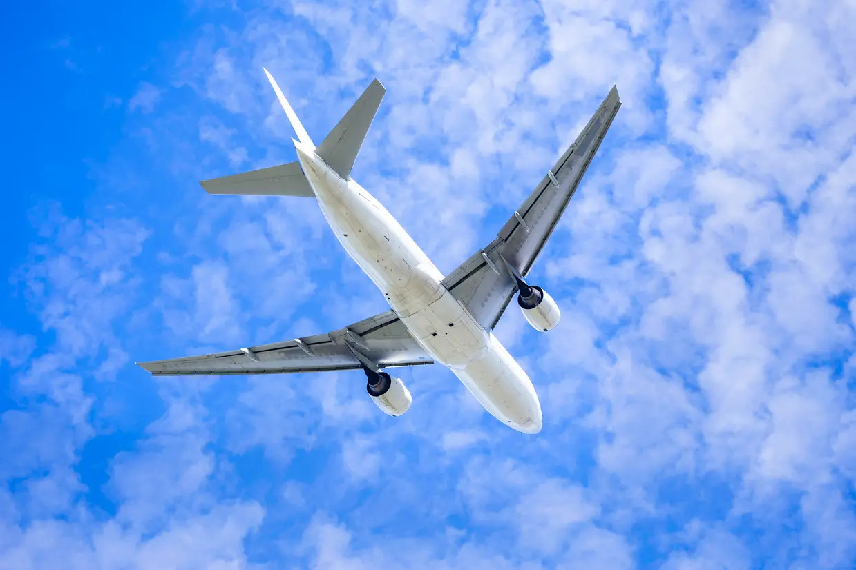 飛行機