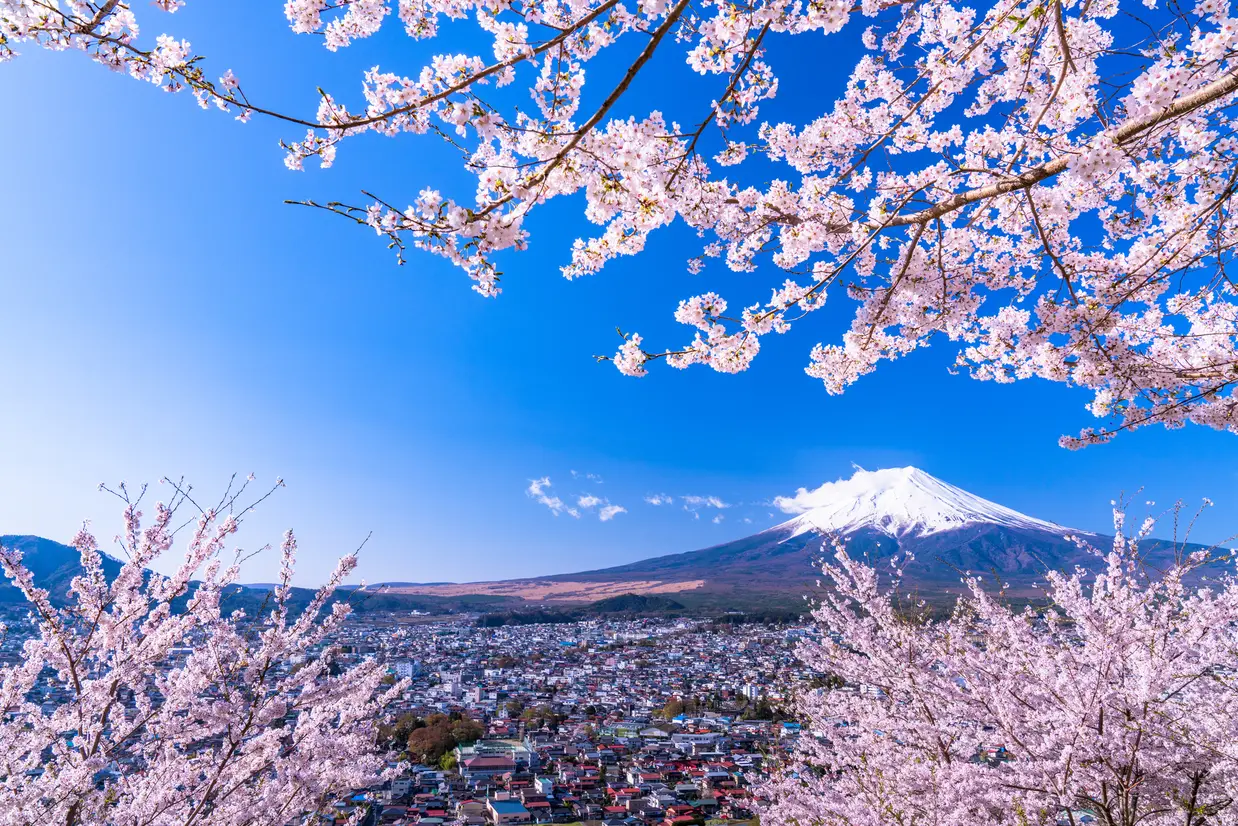 富士山