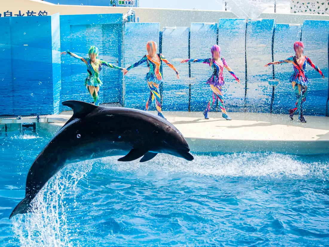 新江ノ島水族館