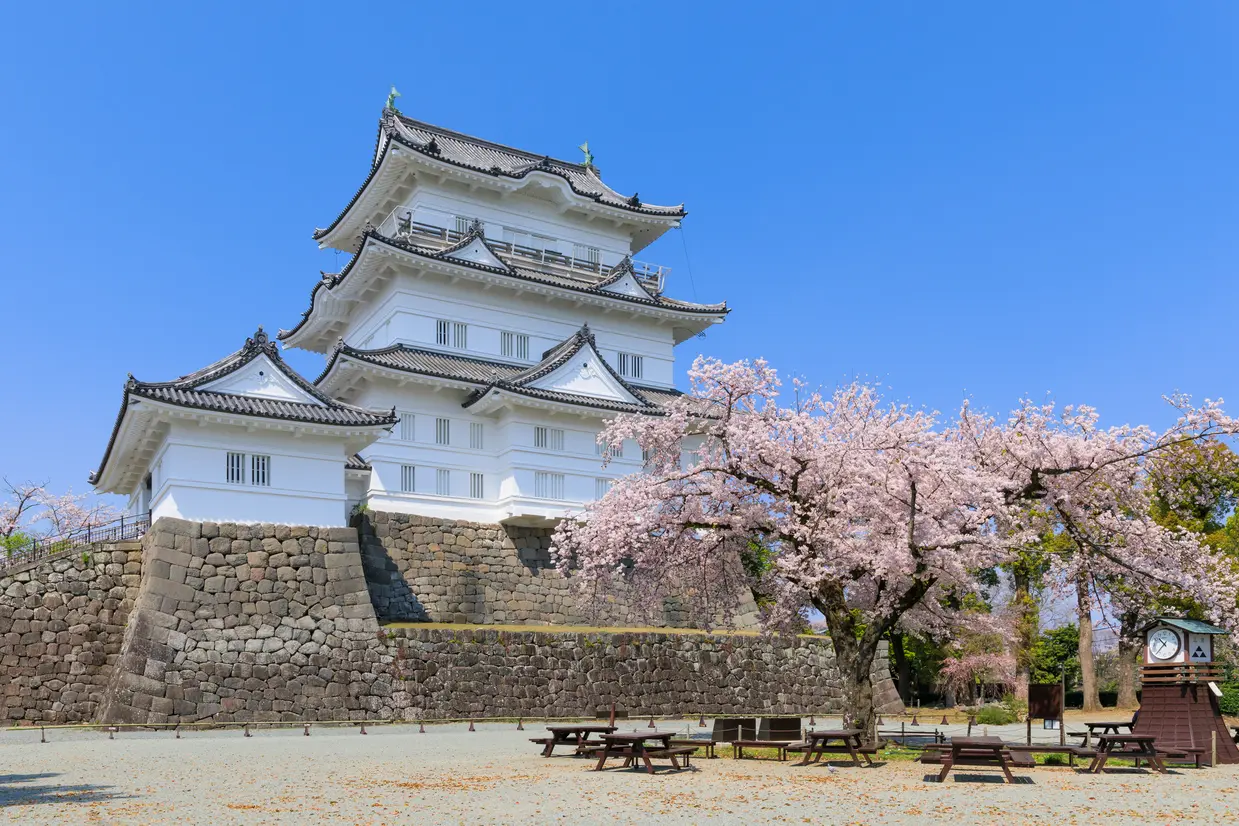 小田原城　春