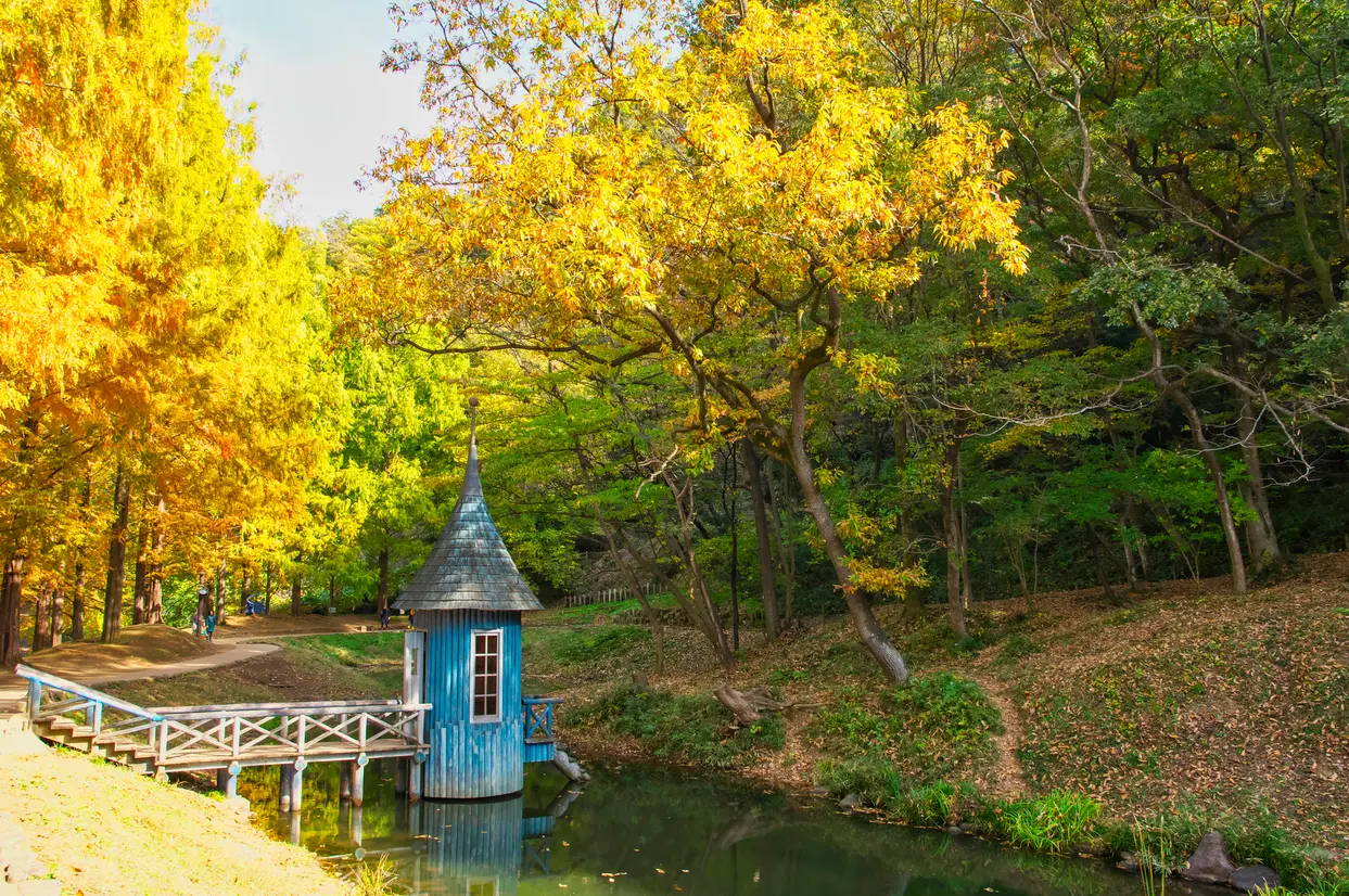 あけぼの子どもの森公園