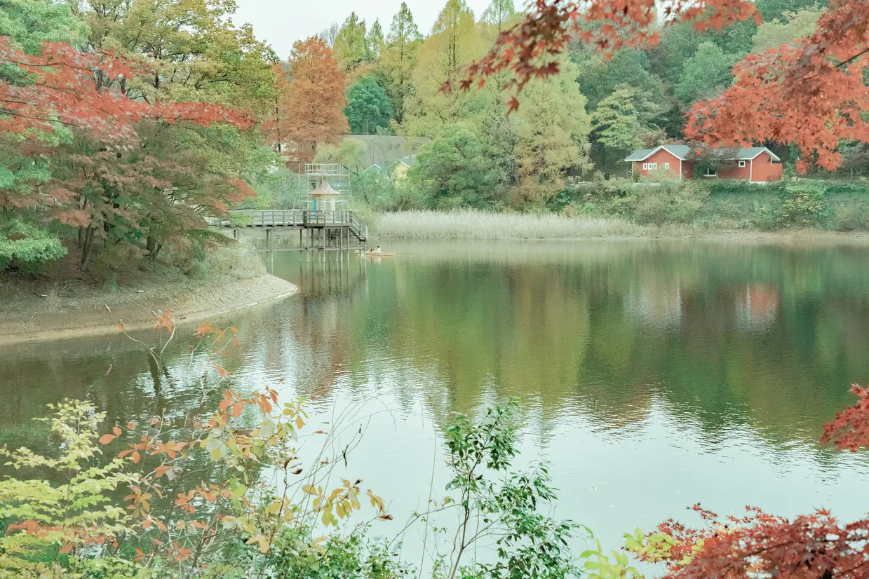 metsa（メッツァ）