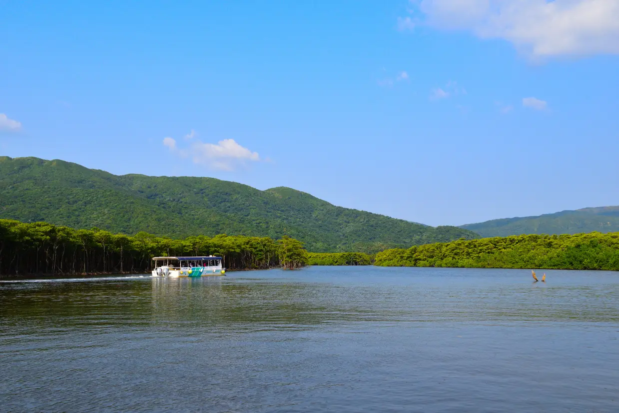 西表島