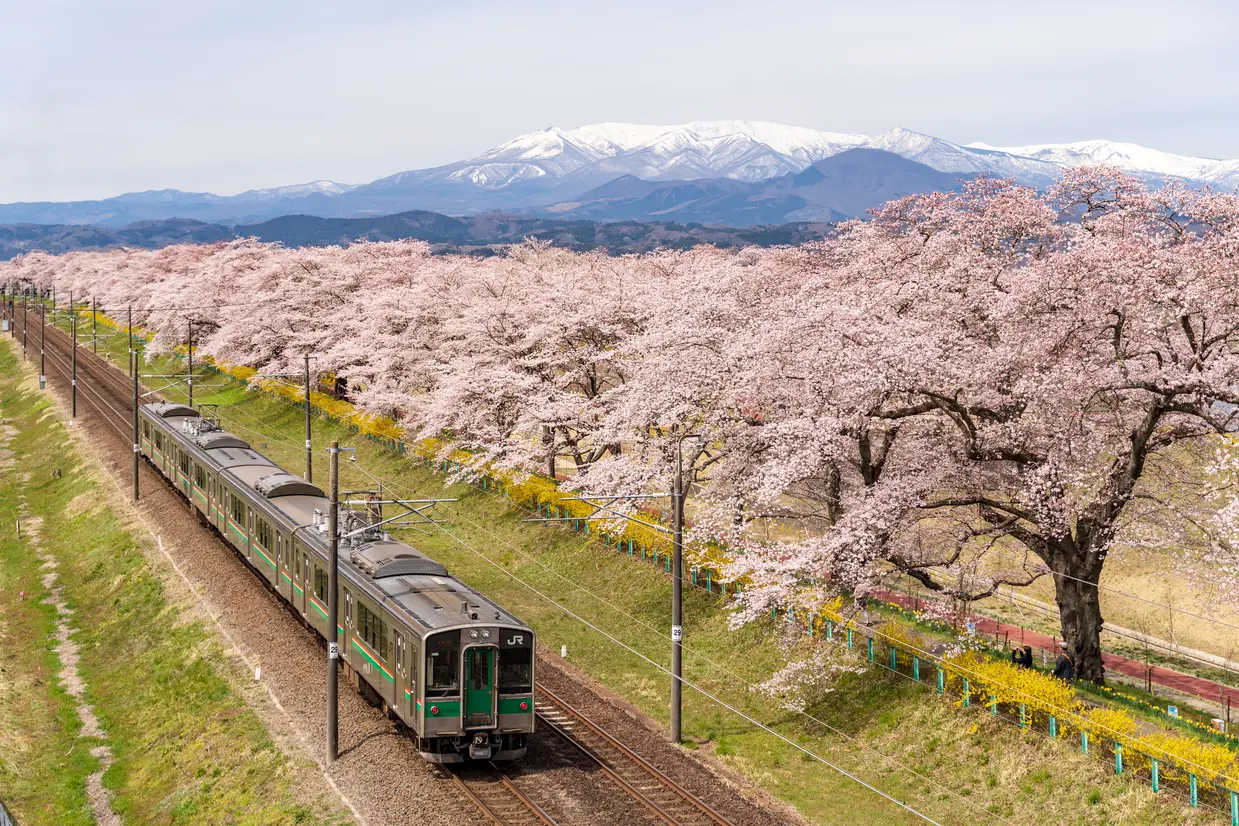 電車（イメージ）