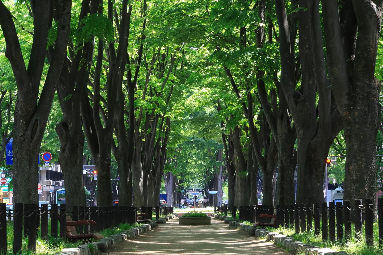 定禅寺通