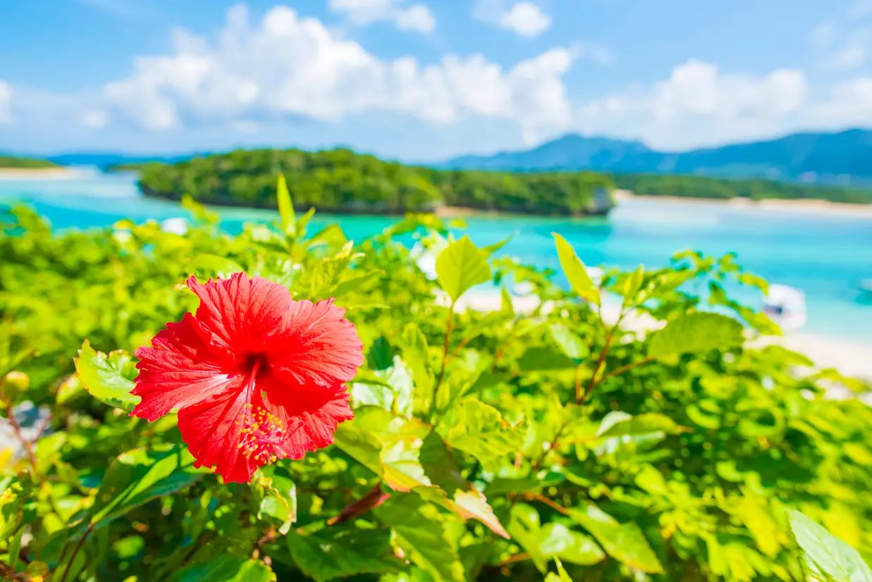 川平湾