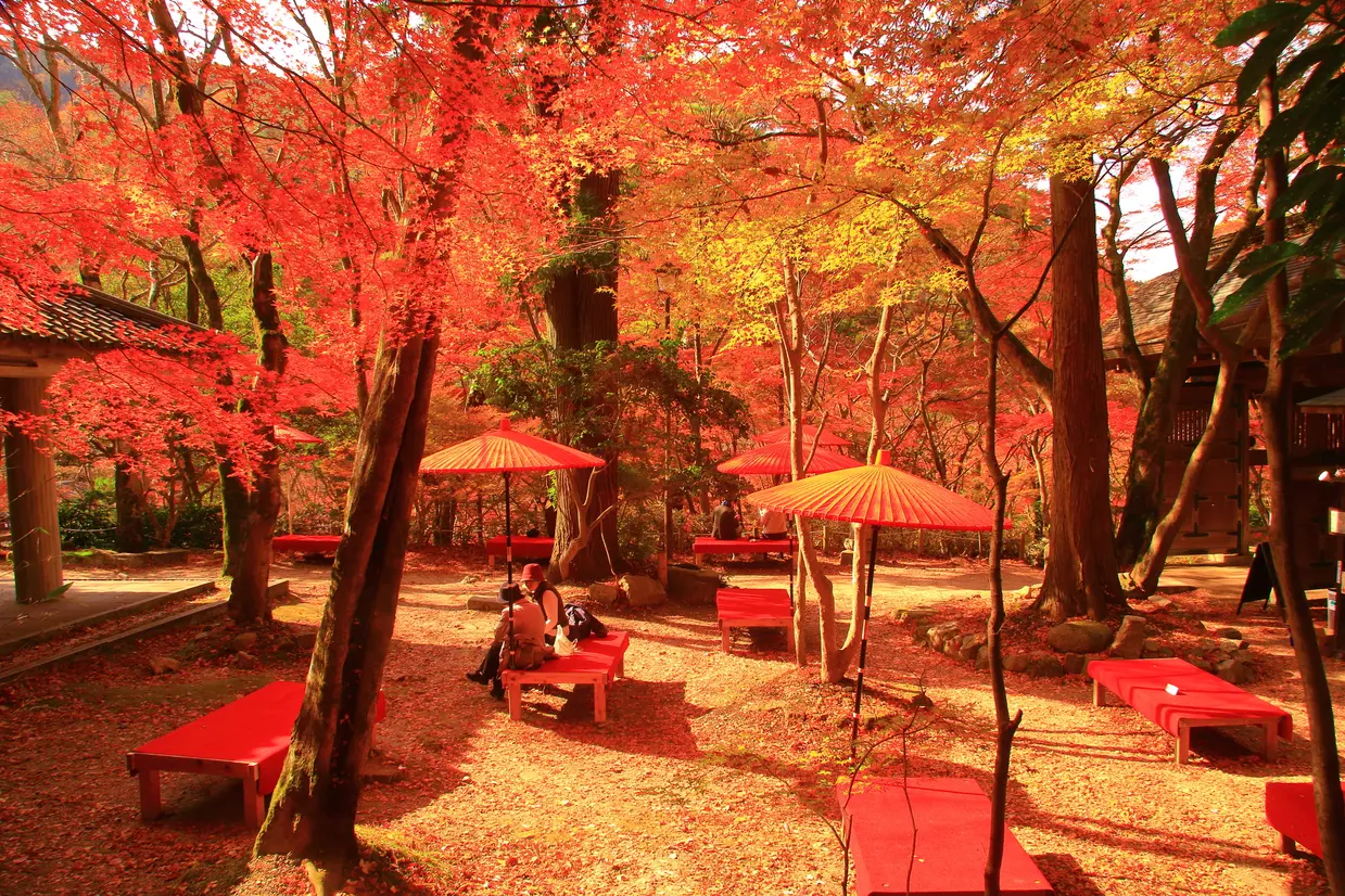 瑞宝寺公園